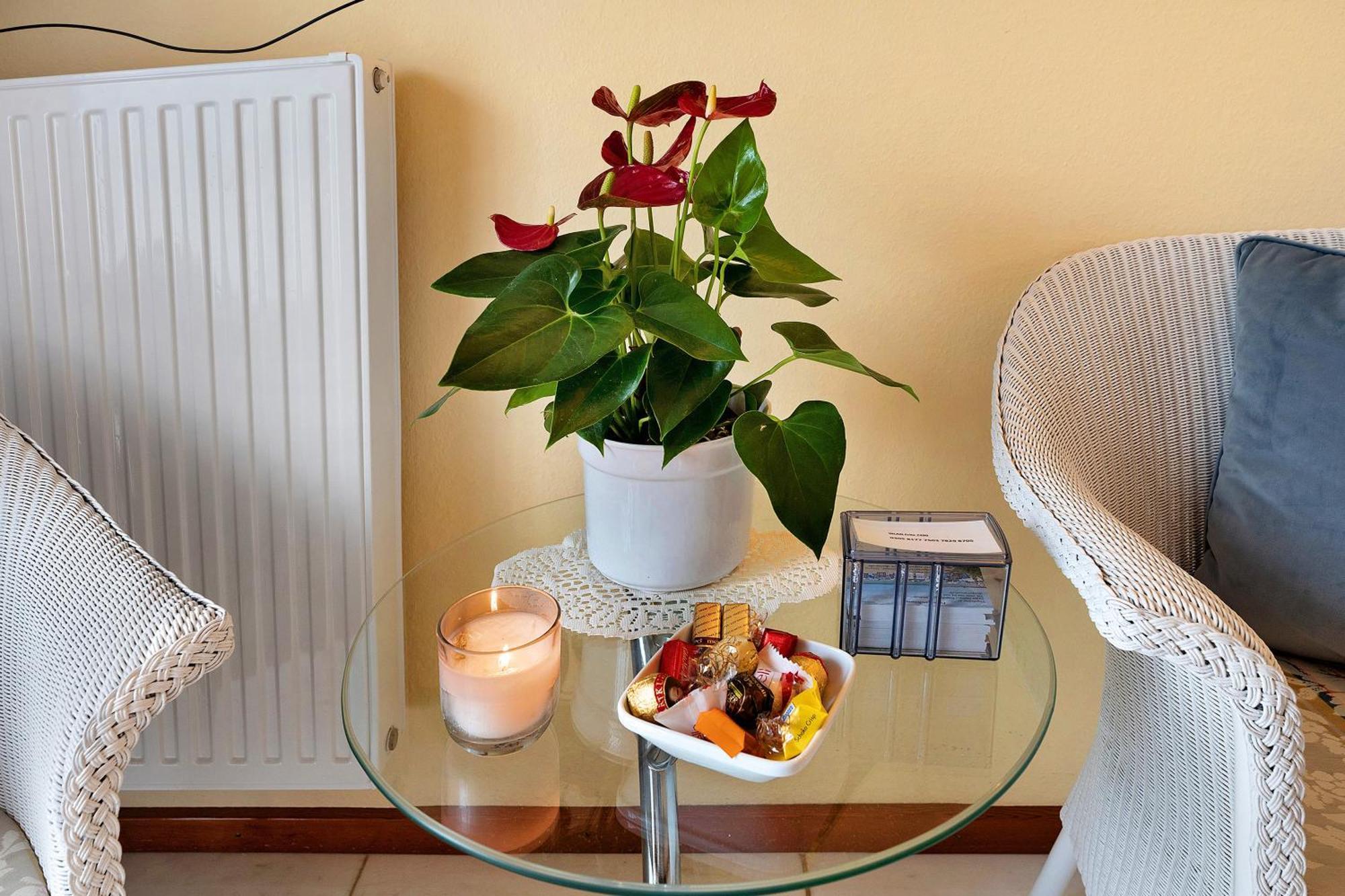 Ferienwohnung 1 Damp Exteriör bild